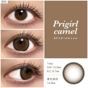 [1Day]Primore Pri Girl Camel プリモア プリガールキャメル